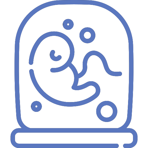 Frozen Embryo Transfer Icon
