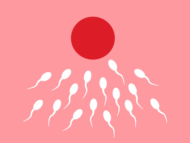 Understanding Semen Quality and Potency