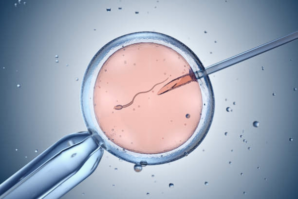Diagram contrasting artificial insemination with the stages of in vitro fertilization (IVF), highlighting key differences.