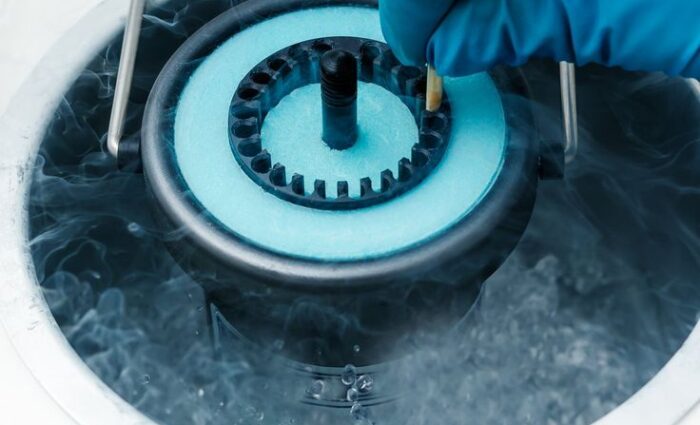 Are Women Freezing Their Eggs for Lack of Educated Men