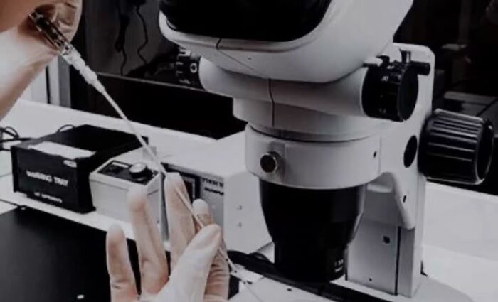 Embryologist